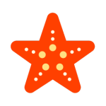 Starfish Media Favicon